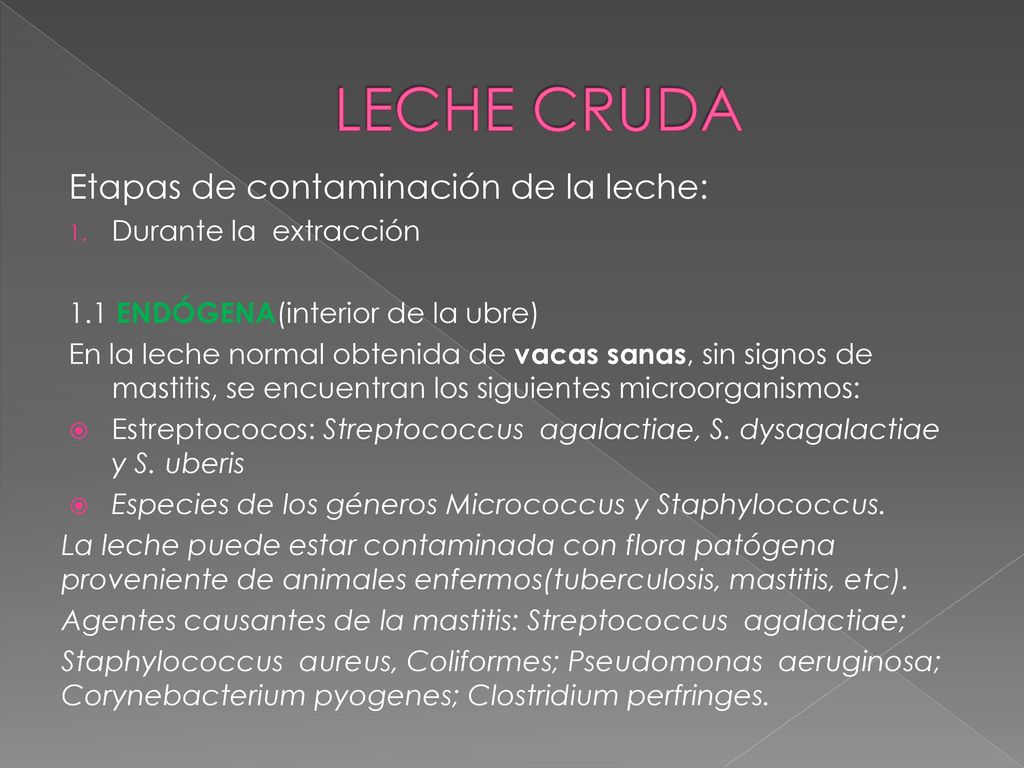 LECHE CRUDA Etapas de contaminación de la leche: Durante la extracción