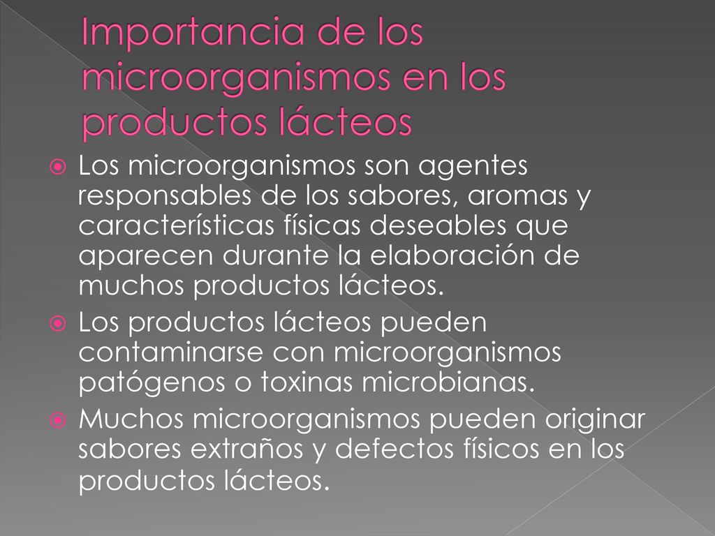 Importancia de los microorganismos en los productos lácteos