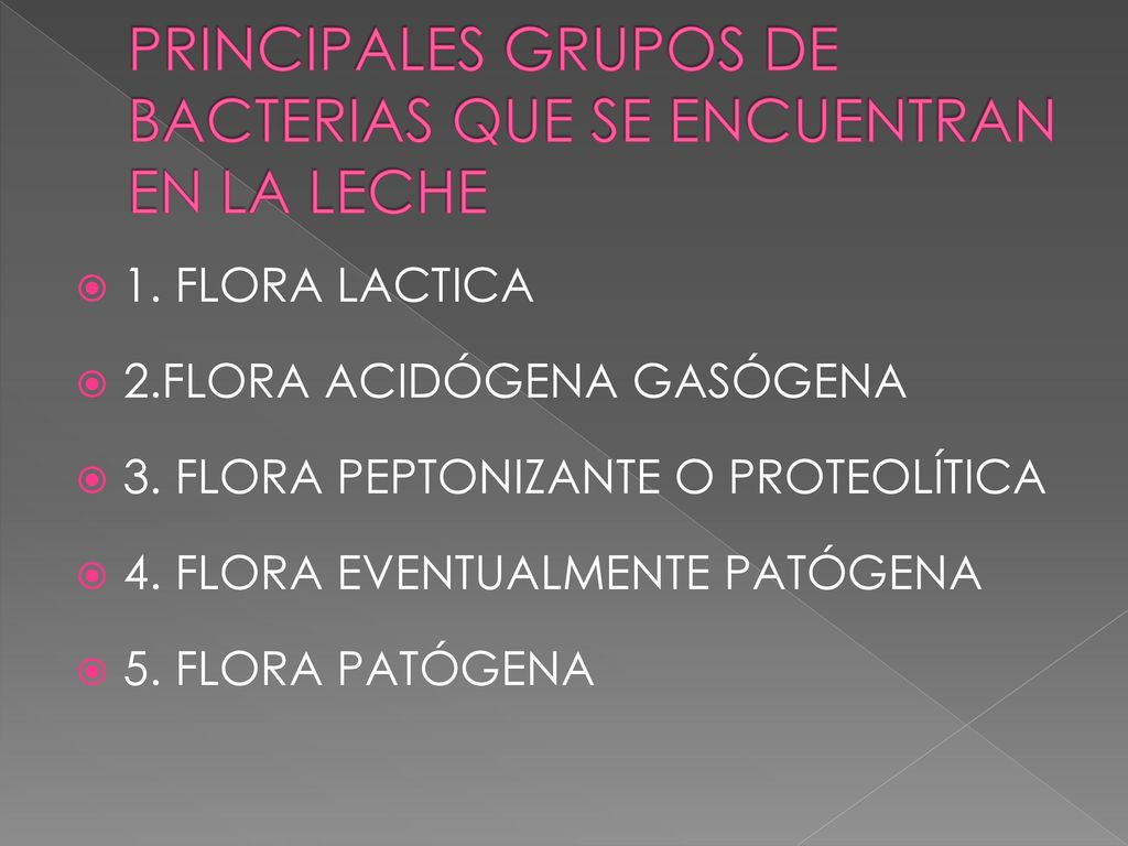 PRINCIPALES GRUPOS DE BACTERIAS QUE SE ENCUENTRAN EN LA LECHE