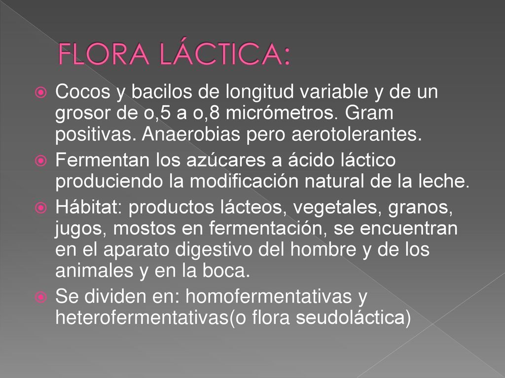 FLORA LÁCTICA: Cocos y bacilos de longitud variable y de un grosor de o,5 a o,8 micrómetros. Gram positivas. Anaerobias pero aerotolerantes.