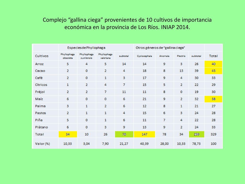 Complejo gallina ciega provenientes de 10 cultivos de importancia económica en la provincia de Los Ríos.