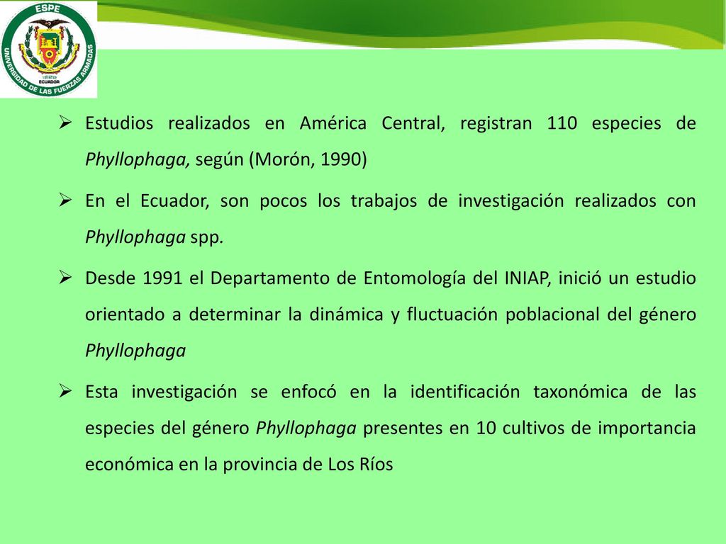 Estudios realizados en América Central, registran 110 especies de Phyllophaga, según (Morón, 1990)