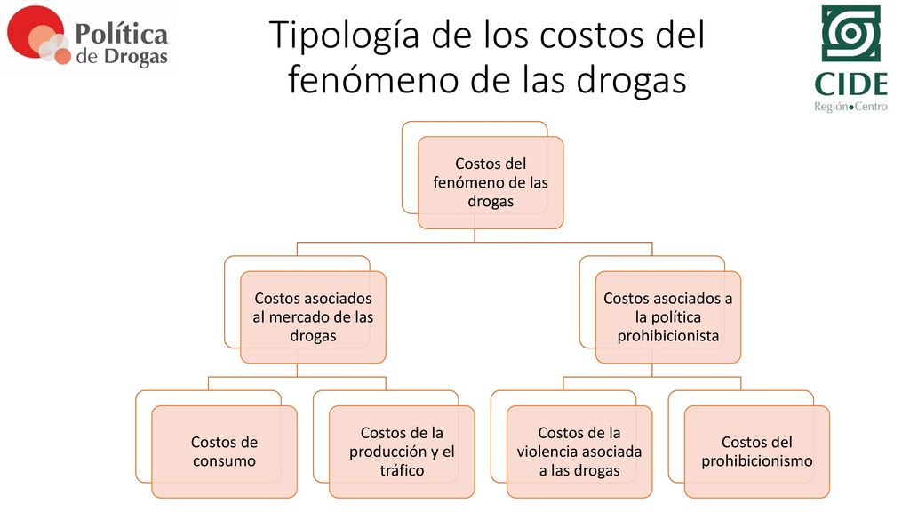 Tipología de los costos del fenómeno de las drogas