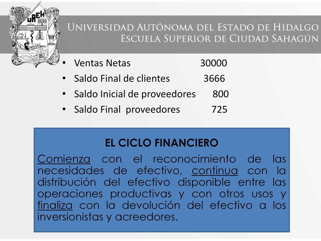Ventas Netas Saldo Final de clientes Saldo Inicial de proveedores 800.
