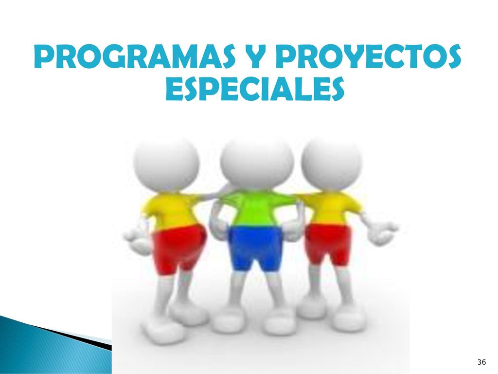 PROGRAMAS Y PROYECTOS ESPECIALES