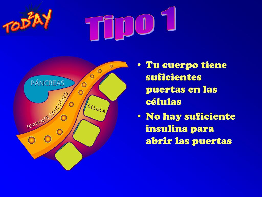 Tipo 1 Tu cuerpo tiene suficientes puertas en las células
