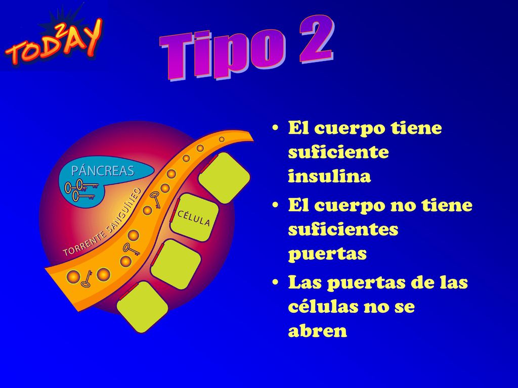Tipo 2 El cuerpo tiene suficiente insulina