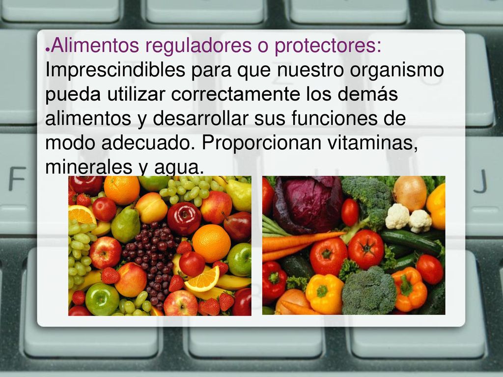 Alimentos plásticos o formadores: Necesarios para formar las células, tejidos y órganos de nuestro cuerpo.