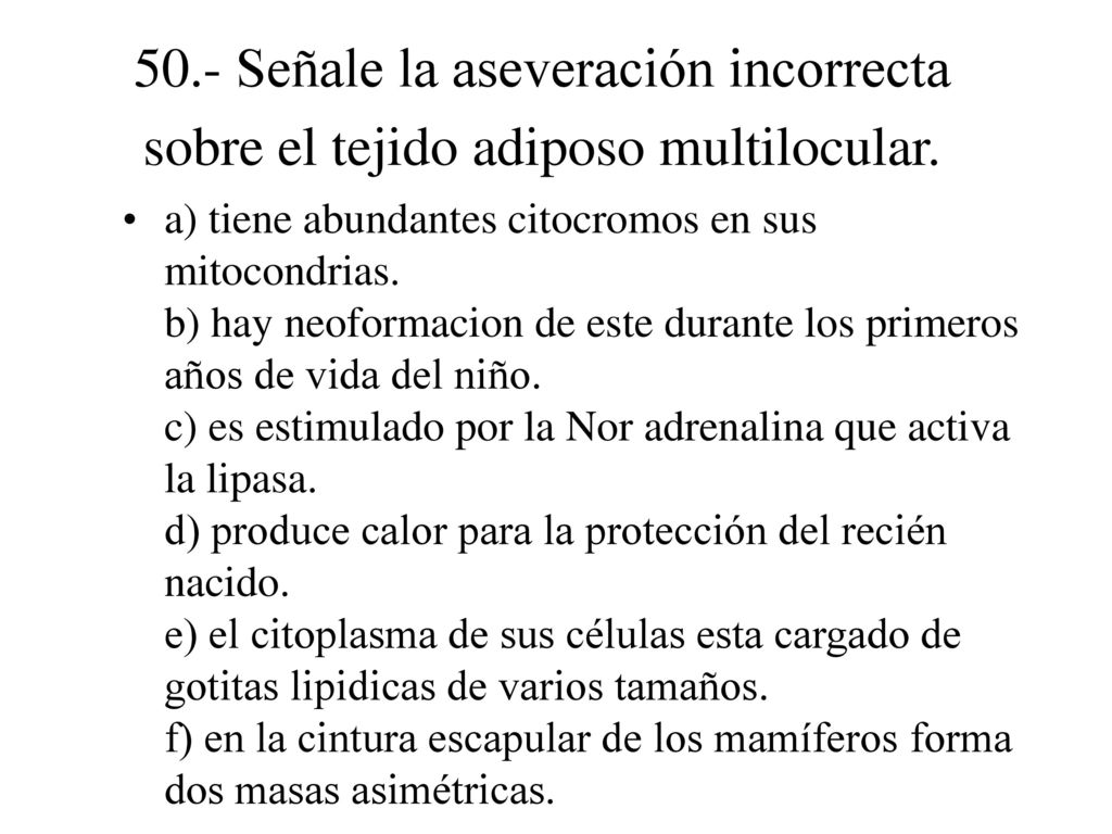 50.- Señale la aseveración incorrecta sobre el tejido adiposo multilocular.