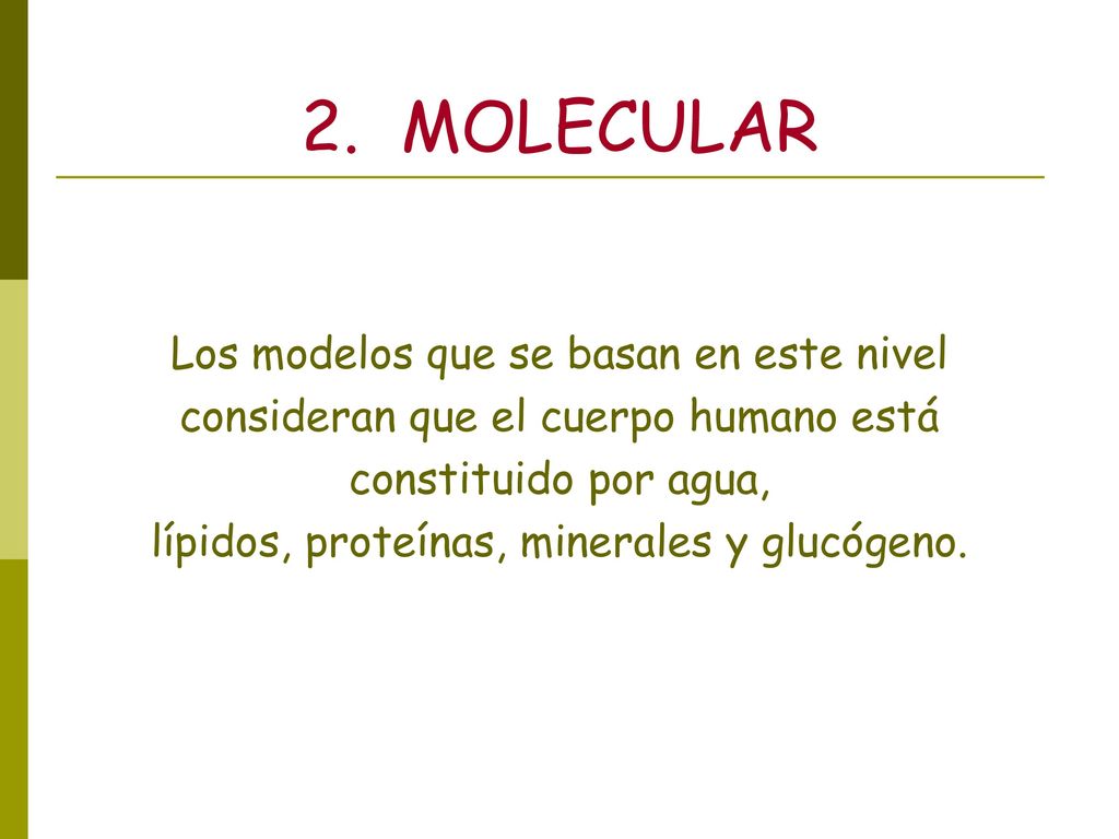 2. MOLECULAR Los modelos que se basan en este nivel