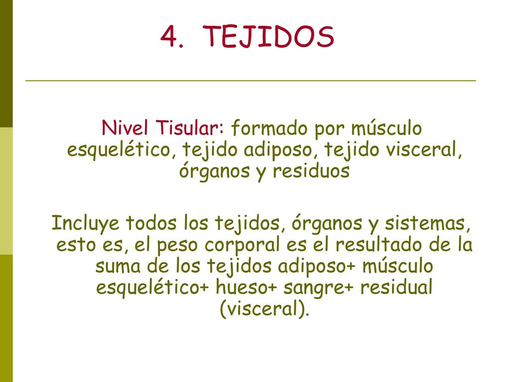4. TEJIDOS Nivel Tisular: formado por músculo esquelético, tejido adiposo, tejido visceral, órganos y residuos.