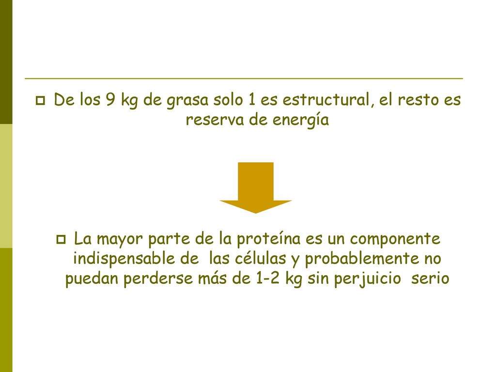 De los 9 kg de grasa solo 1 es estructural, el resto es reserva de energía
