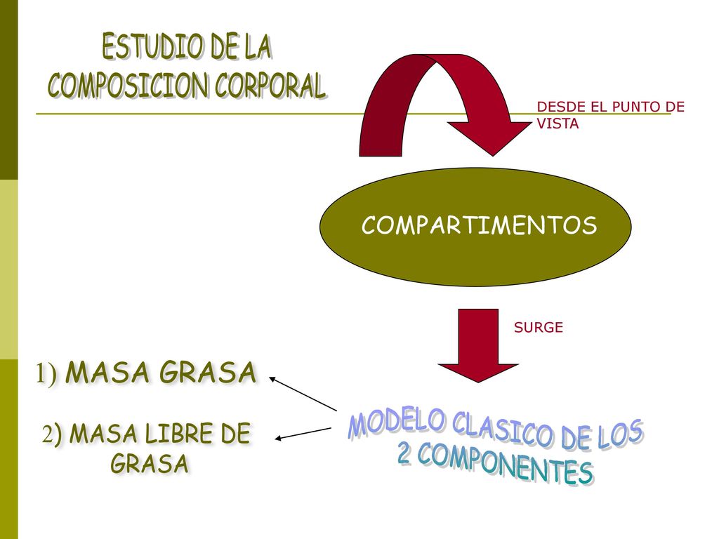 MODELO CLASICO DE LOS 2 COMPONENTES COMPARTIMENTOS ESTUDIO DE LA