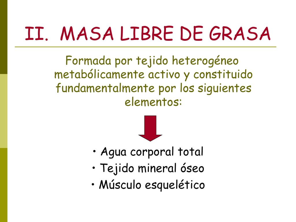 II. MASA LIBRE DE GRASA Formada por tejido heterogéneo metabólicamente activo y constituido fundamentalmente por los siguientes elementos: