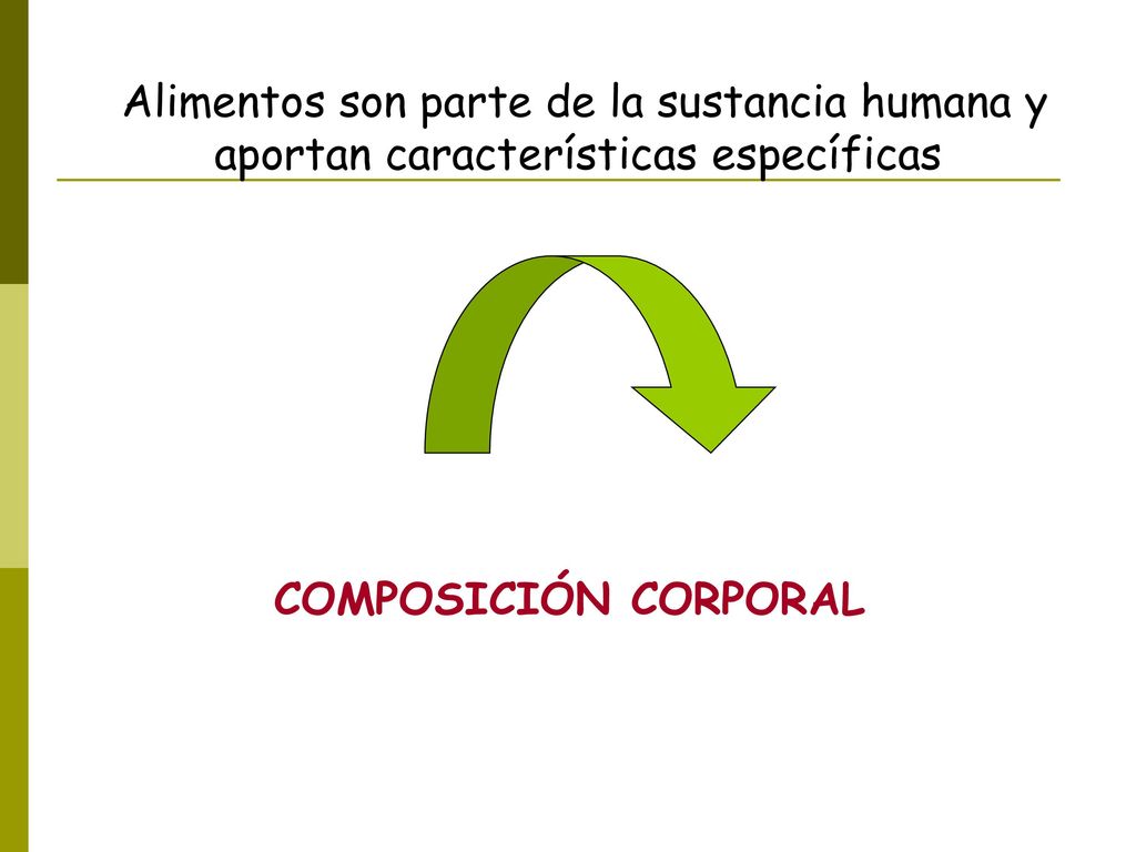 Alimentos son parte de la sustancia humana y aportan características específicas