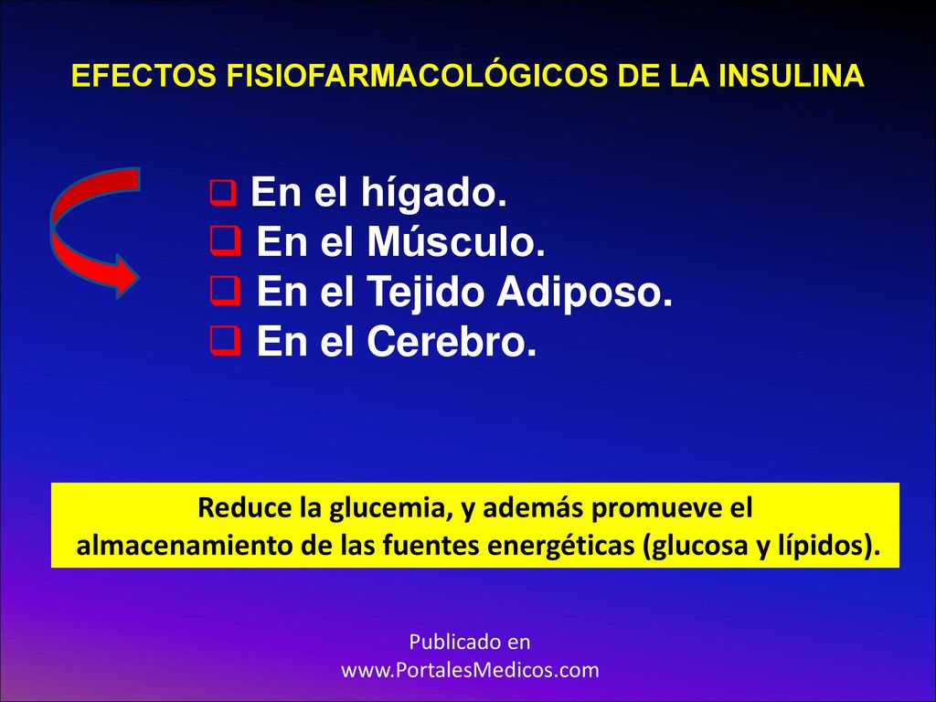 En el Músculo. En el Tejido Adiposo. En el Cerebro. En el hígado.