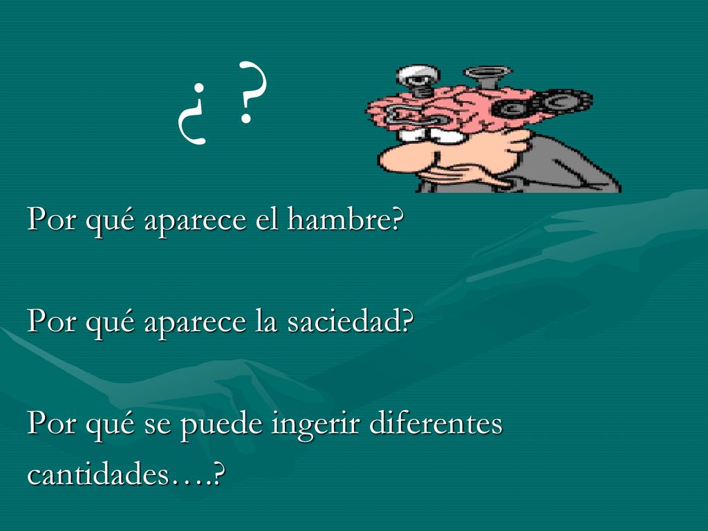 ¿ Por qué aparece el hambre Por qué aparece la saciedad