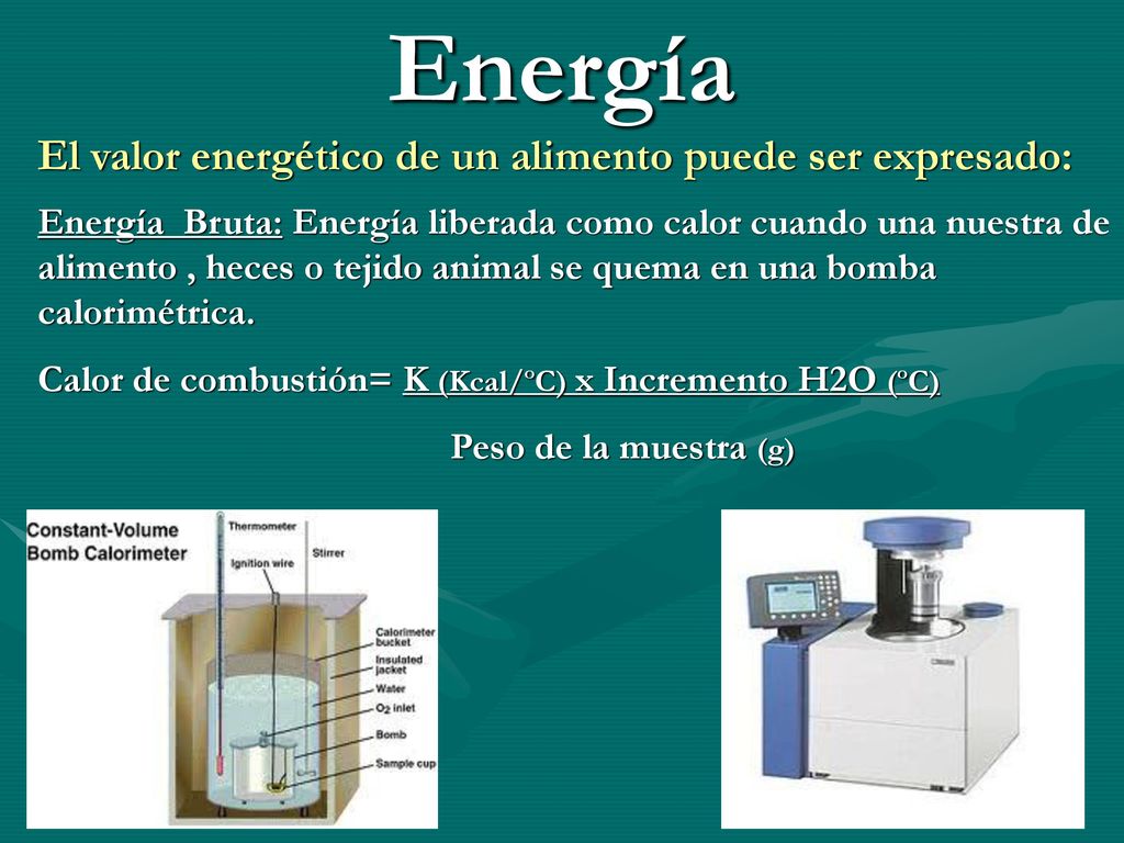 Energía El valor energético de un alimento puede ser expresado:
