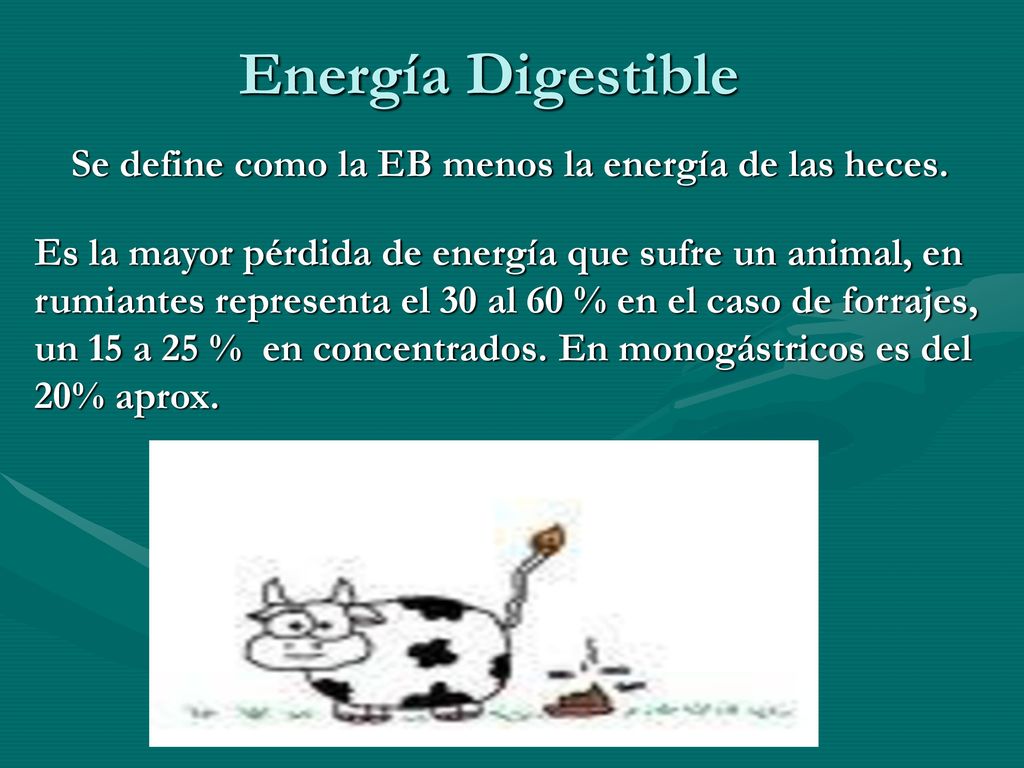 Energía Digestible Se define como la EB menos la energía de las heces.