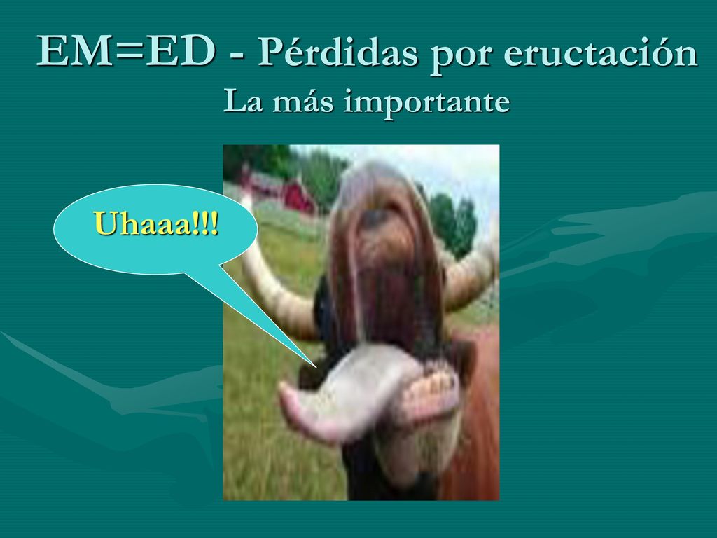 EM=ED - Pérdidas por eructación La más importante