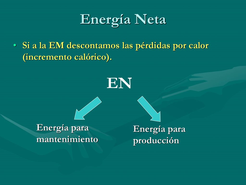Energía Neta Si a la EM descontamos las pérdidas por calor (incremento calórico). EN. Energía para.