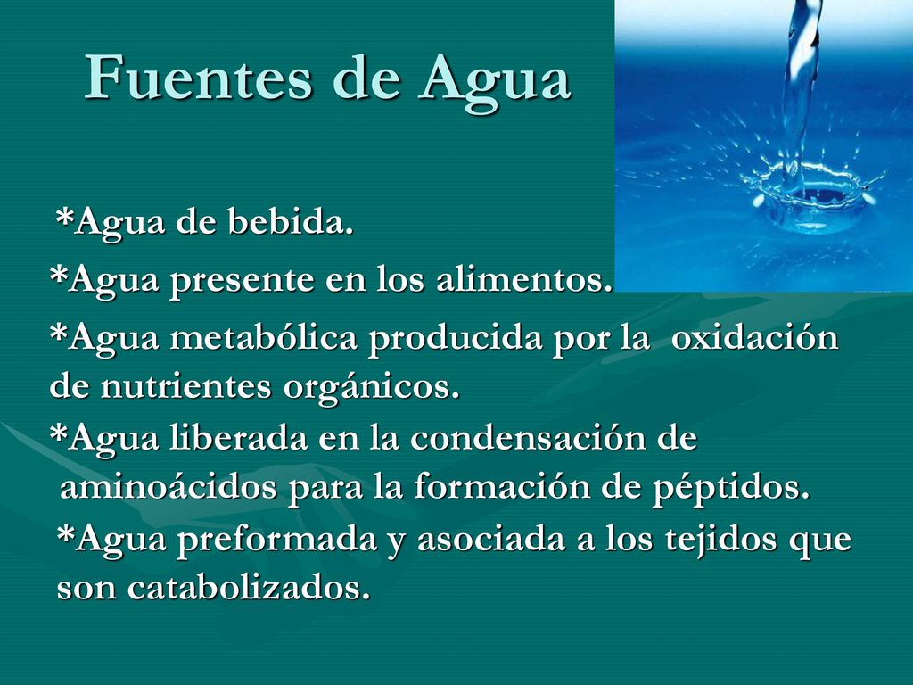 Fuentes de Agua *Agua de bebida. *Agua presente en los alimentos.
