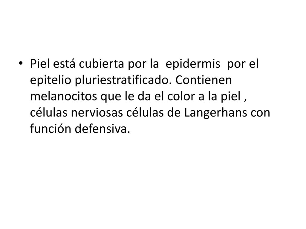 Piel está cubierta por la epidermis por el epitelio pluriestratificado