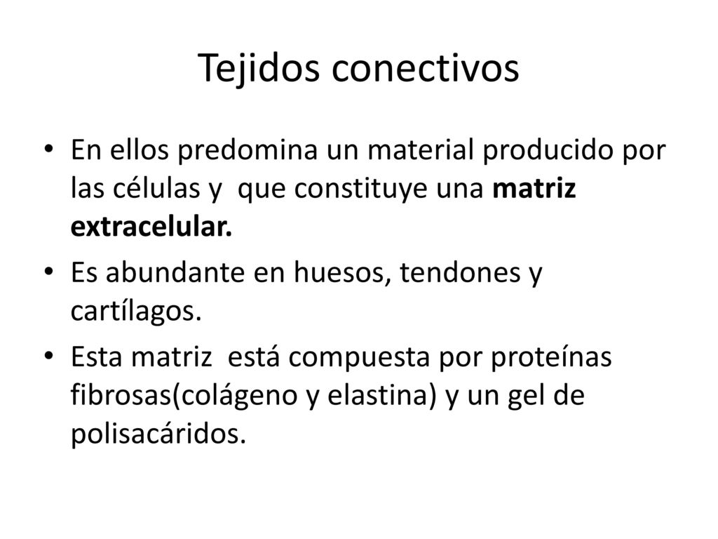 Tejidos conectivos En ellos predomina un material producido por las células y que constituye una matriz extracelular.