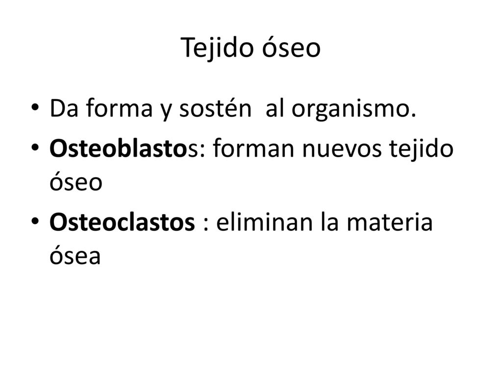 Tejido óseo Da forma y sostén al organismo.