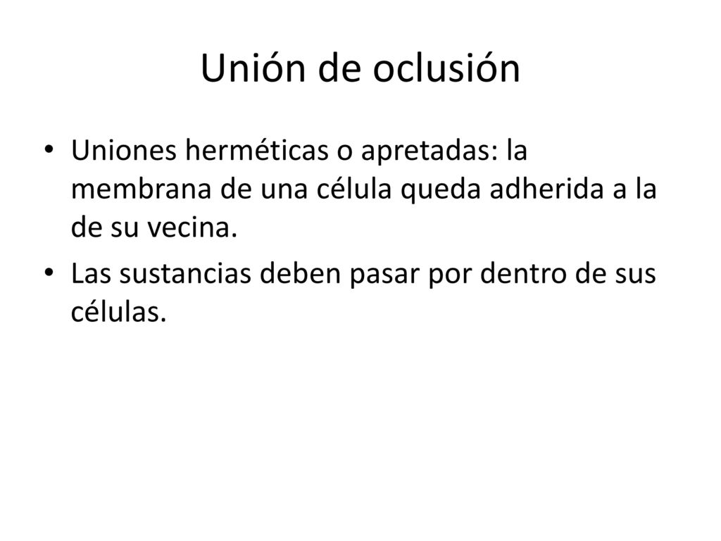Unión de oclusión Uniones herméticas o apretadas: la membrana de una célula queda adherida a la de su vecina.