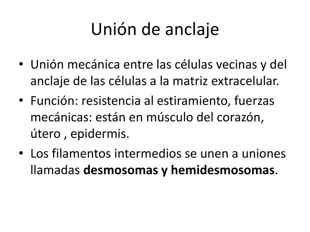 Unión de anclaje Unión mecánica entre las células vecinas y del anclaje de las células a la matriz extracelular.