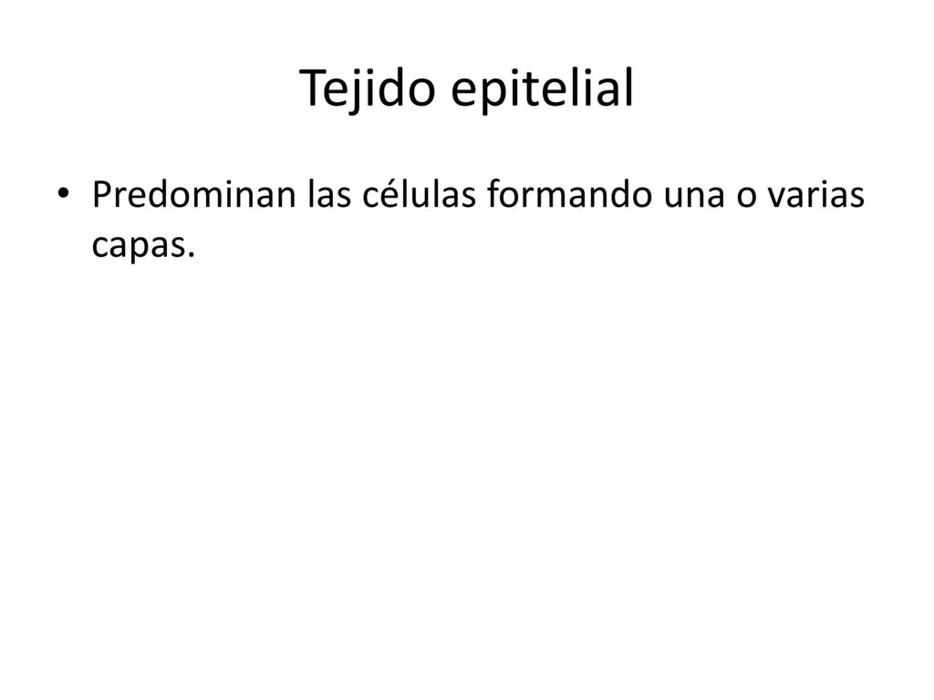 Tejido epitelial Predominan las células formando una o varias capas.