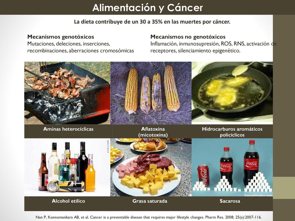 Alimentación y Cáncer La dieta contribuye de un 30 a 35% en las muertes por cáncer. Mecanismos genotóxicos.