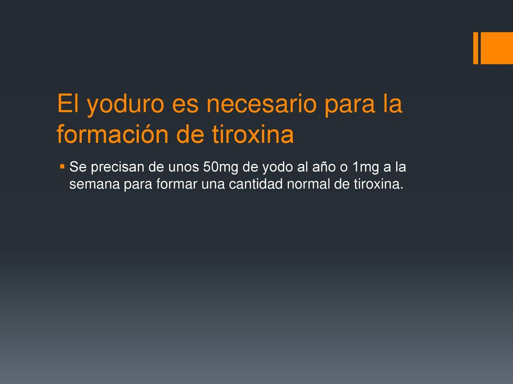 El yoduro es necesario para la formación de tiroxina