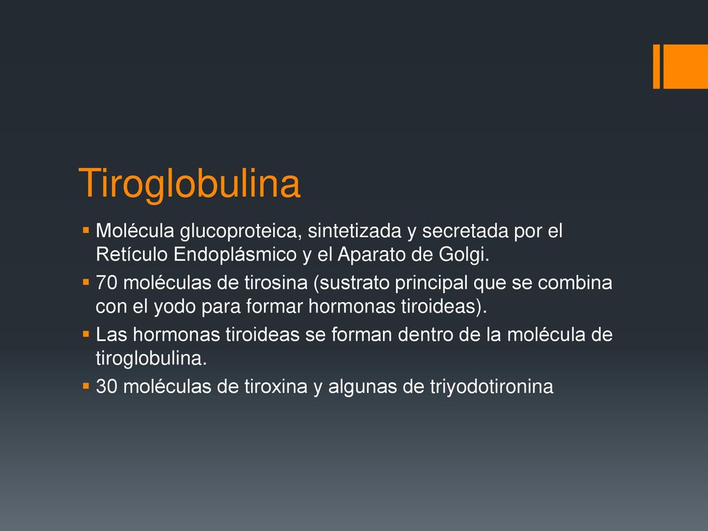 Tiroglobulina Molécula glucoproteica, sintetizada y secretada por el Retículo Endoplásmico y el Aparato de Golgi.
