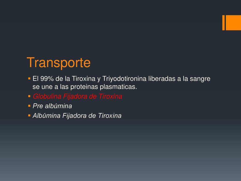 Transporte El 99% de la Tiroxina y Triyodotironina liberadas a la sangre se une a las proteinas plasmaticas.