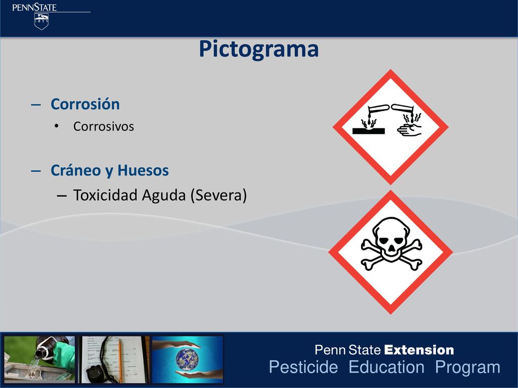 Pictograma Corrosión Cráneo y Huesos Toxicidad Aguda (Severa)