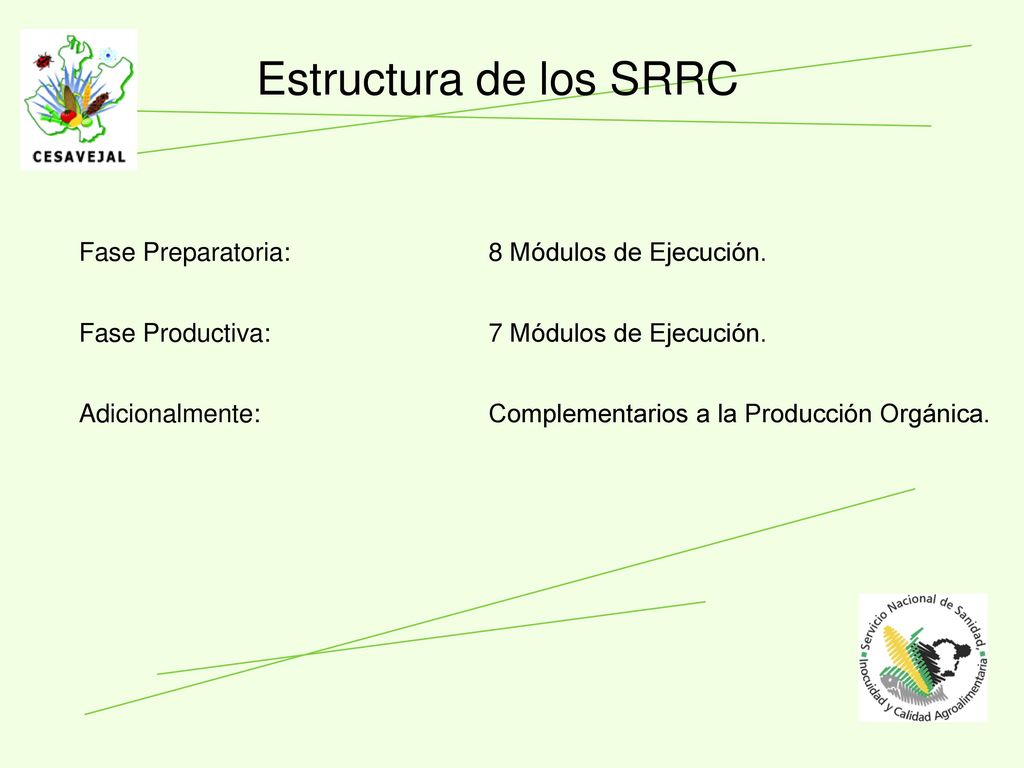 Estructura de los SRRC Fase Preparatoria: 8 Módulos de Ejecución.