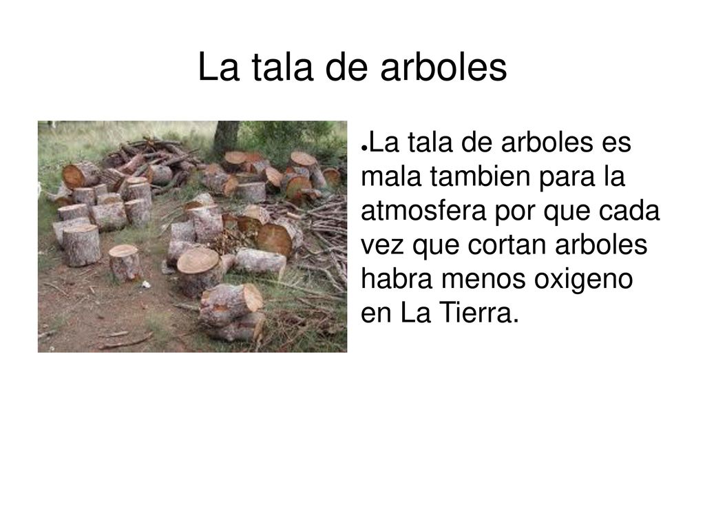 La tala de arboles La tala de arboles es mala tambien para la atmosfera por que cada vez que cortan arboles habra menos oxigeno en La Tierra.