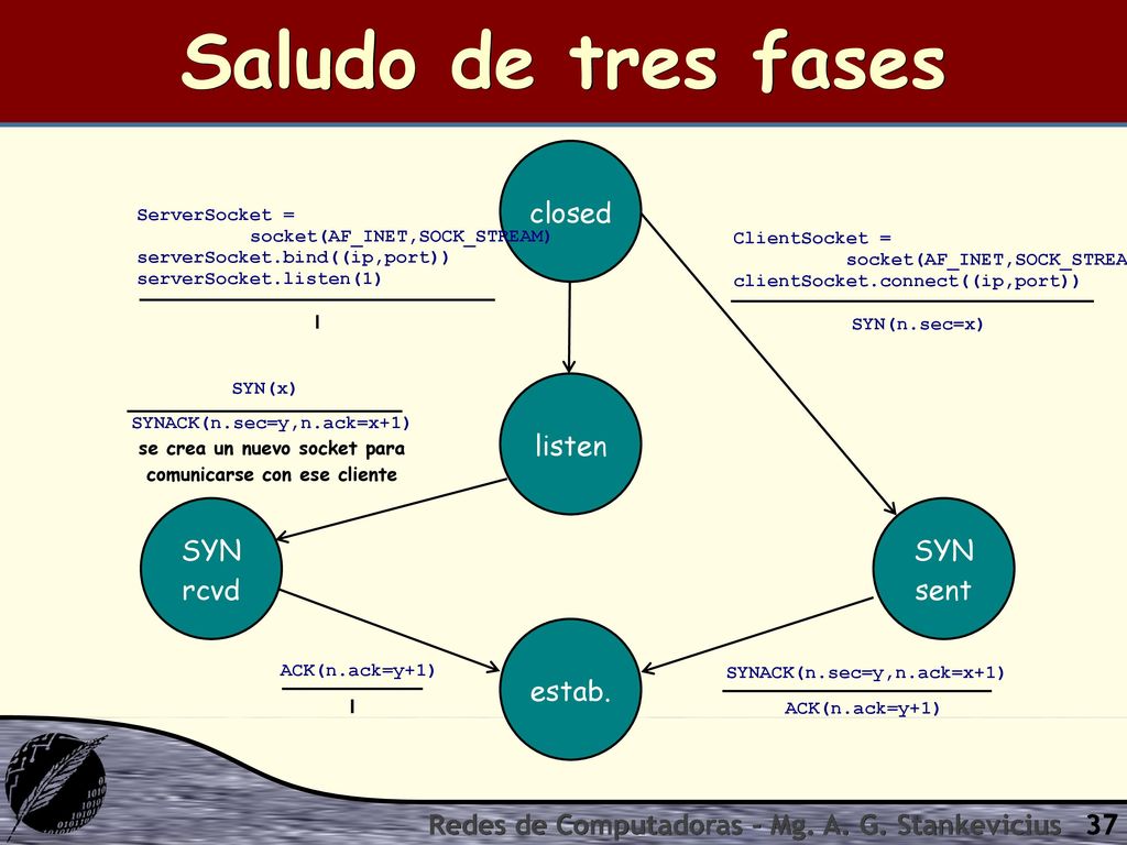 Saludo de tres fases closed listen estab. SYN rcvd SYN sent