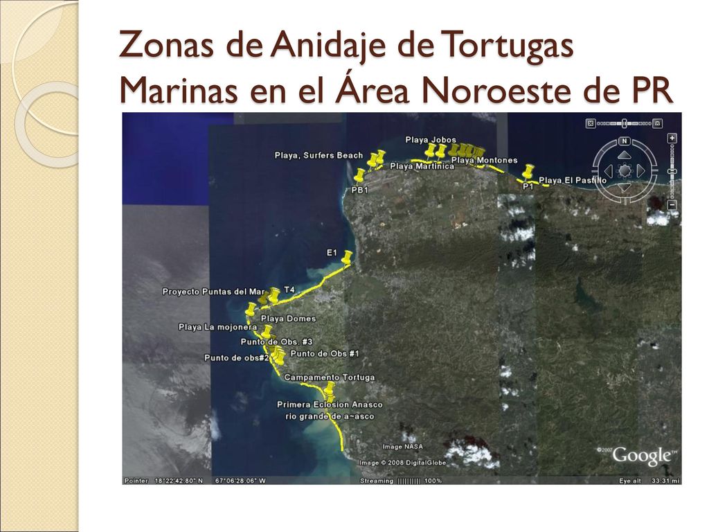 Zonas de Anidaje de Tortugas Marinas en el Área Noroeste de PR