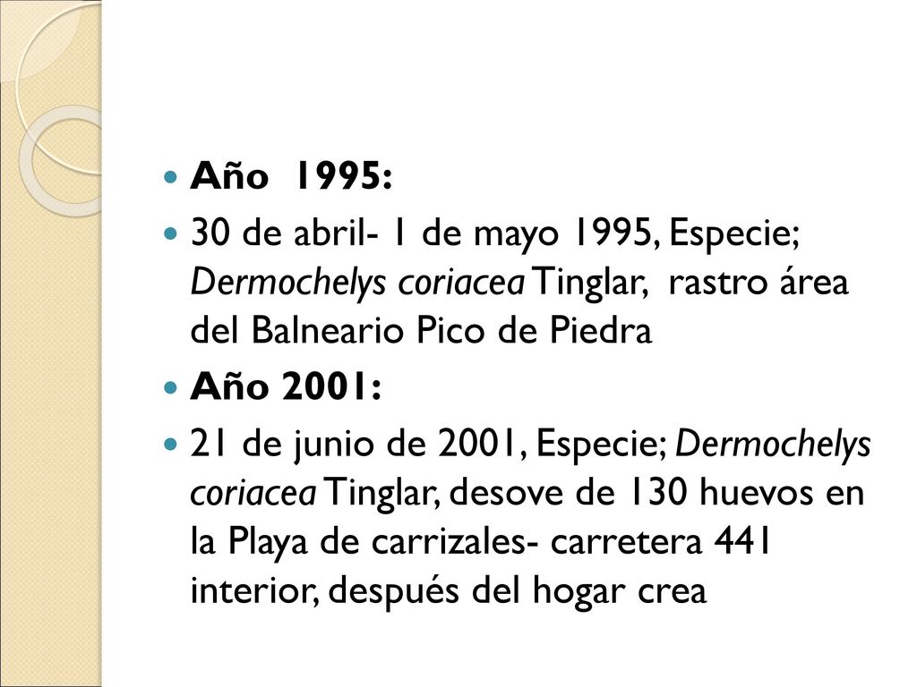 Año 1995: 30 de abril- 1 de mayo 1995, Especie; Dermochelys coriacea Tinglar, rastro área del Balneario Pico de Piedra.