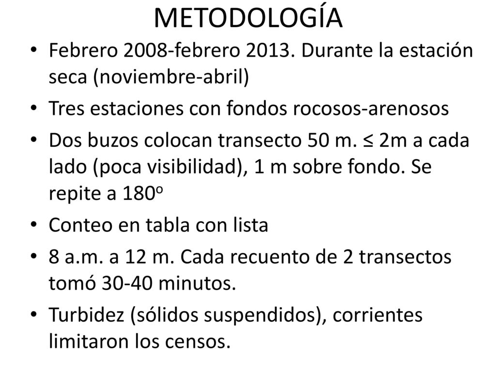 METODOLOGÍA Febrero 2008-febrero Durante la estación seca (noviembre-abril) Tres estaciones con fondos rocosos-arenosos.