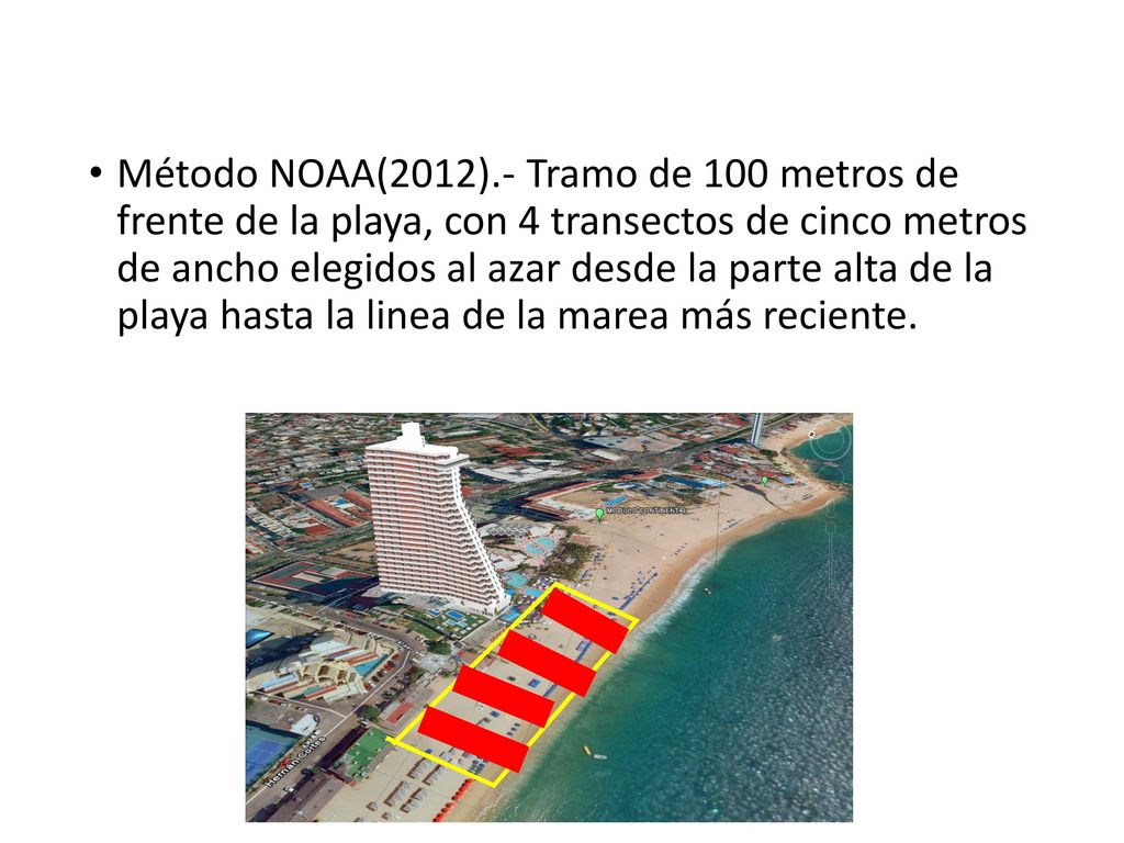 Método NOAA(2012).- Tramo de 100 metros de frente de la playa, con 4 transectos de cinco metros de ancho elegidos al azar desde la parte alta de la playa hasta la linea de la marea más reciente.