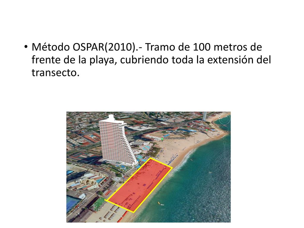 Método OSPAR(2010).- Tramo de 100 metros de frente de la playa, cubriendo toda la extensión del transecto.