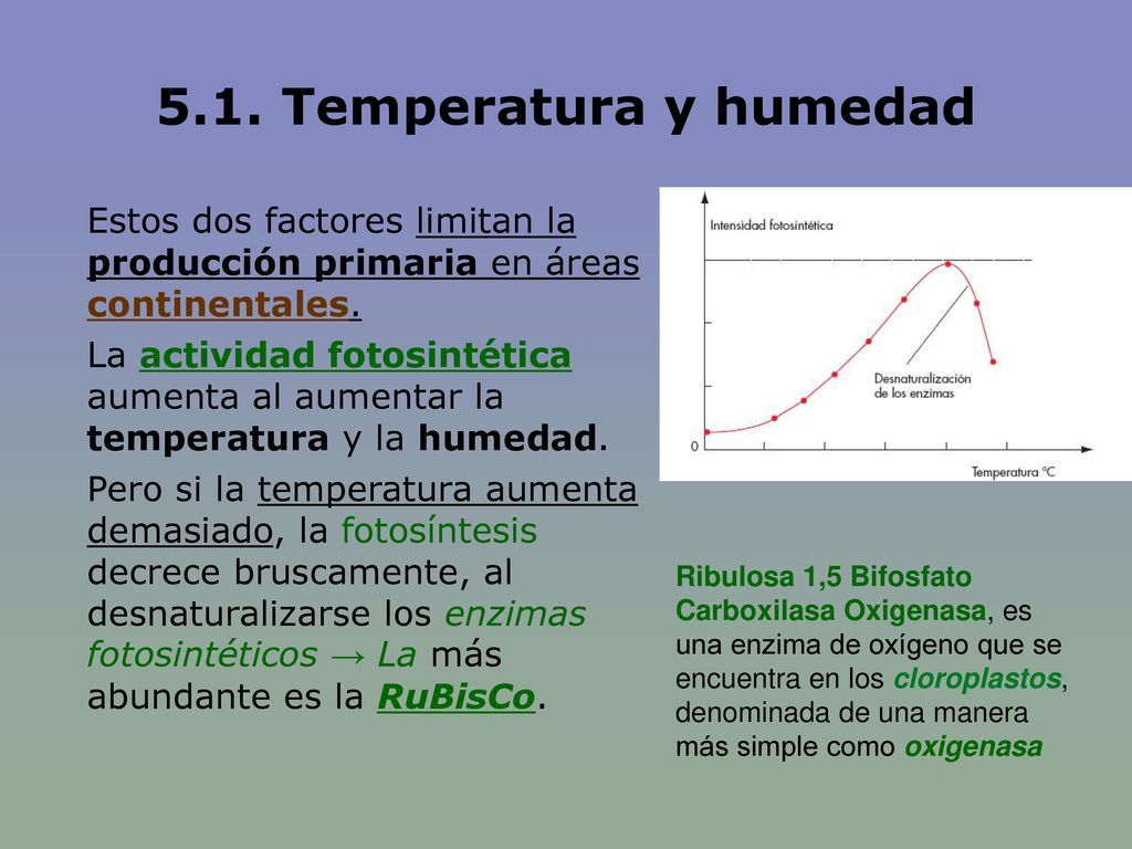 5.1. Temperatura y humedad Estos dos factores limitan la producción primaria en áreas continentales.