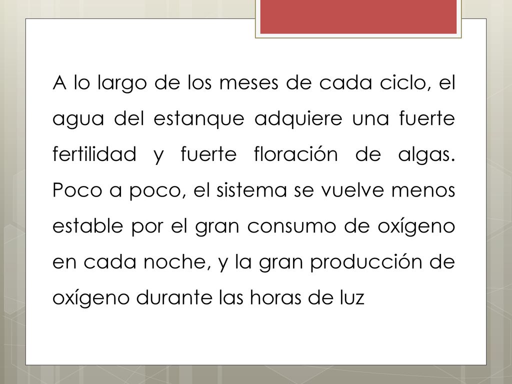 A lo largo de los meses de cada ciclo, el agua del estanque adquiere una fuerte fertilidad y fuerte floración de algas.