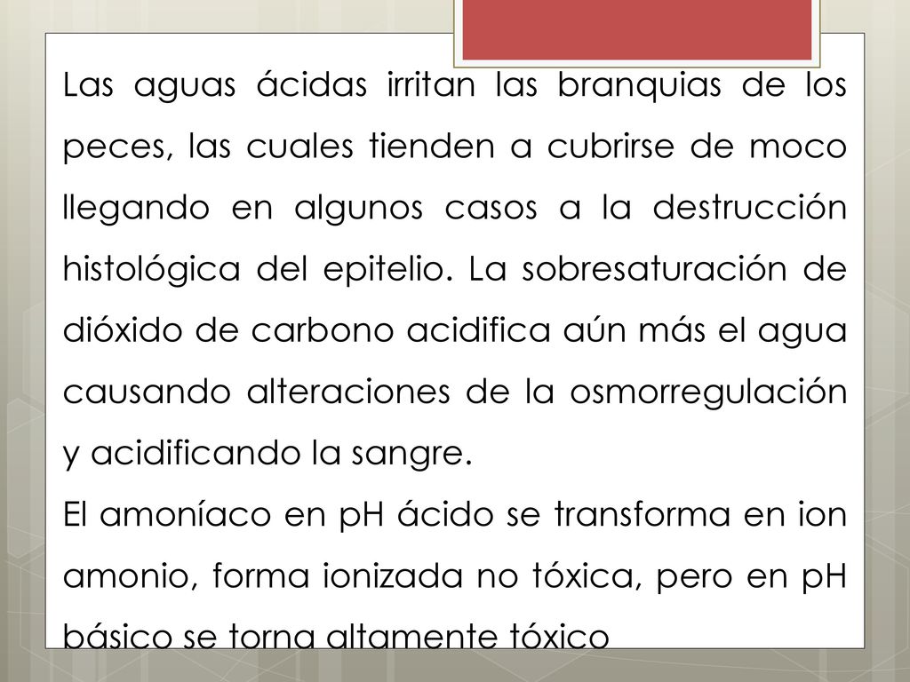 Las aguas ácidas irritan las branquias de los peces, las cuales tienden a cubrirse de moco llegando en algunos casos a la destrucción histológica del epitelio. La sobresaturación de dióxido de carbono acidifica aún más el agua causando alteraciones de la osmorregulación y acidificando la sangre.