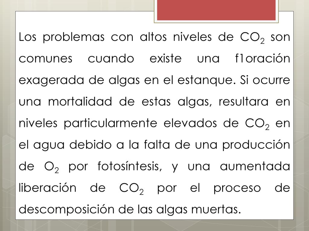 Los problemas con altos niveles de CO2 son comunes cuando existe una f1oración exagerada de algas en el estanque.