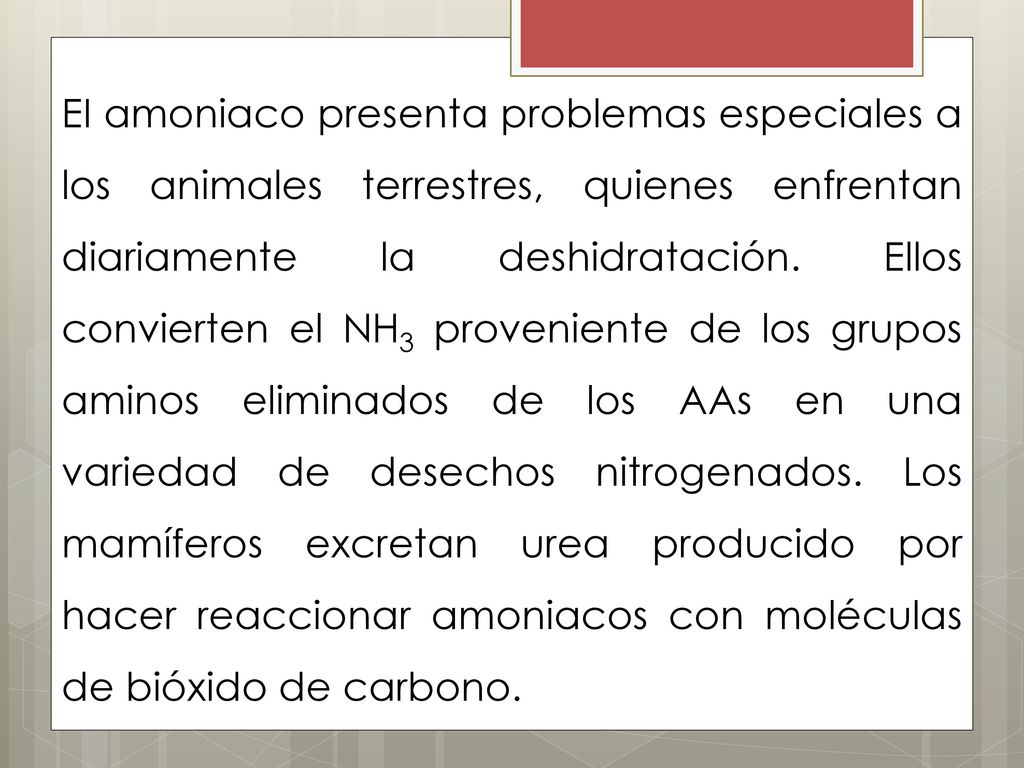 EI amoniaco presenta problemas especiales a los animales terrestres, quienes enfrentan diariamente la deshidratación.